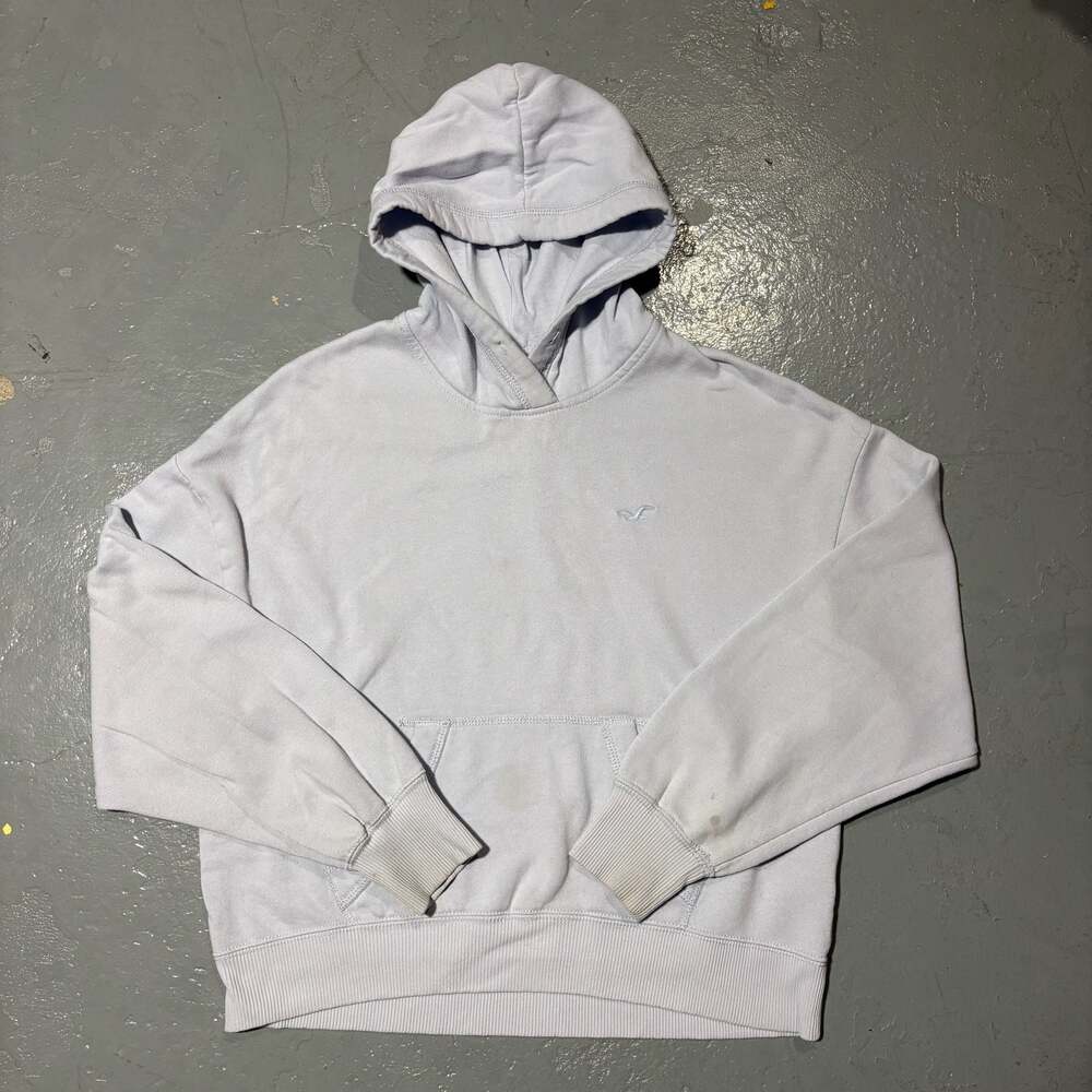 Boxy Fit Hollister Hoodie